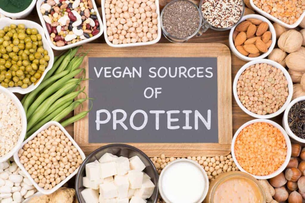 High Protein Diet Foods for Weight Loss Ezfit Singapore