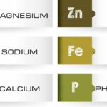 Different Kinds Of Minerals Needed For The Body