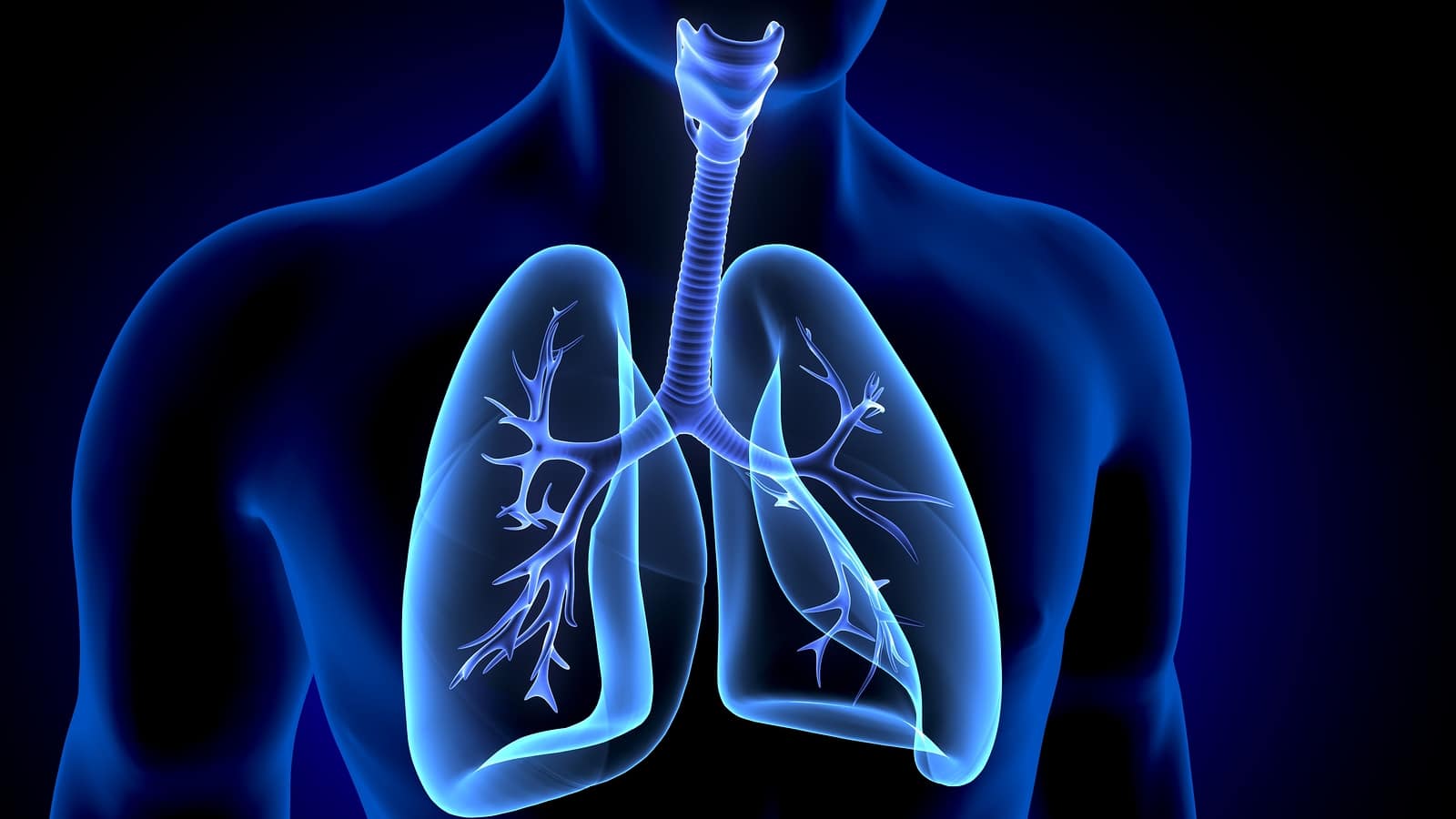 Longing for Lung Facts