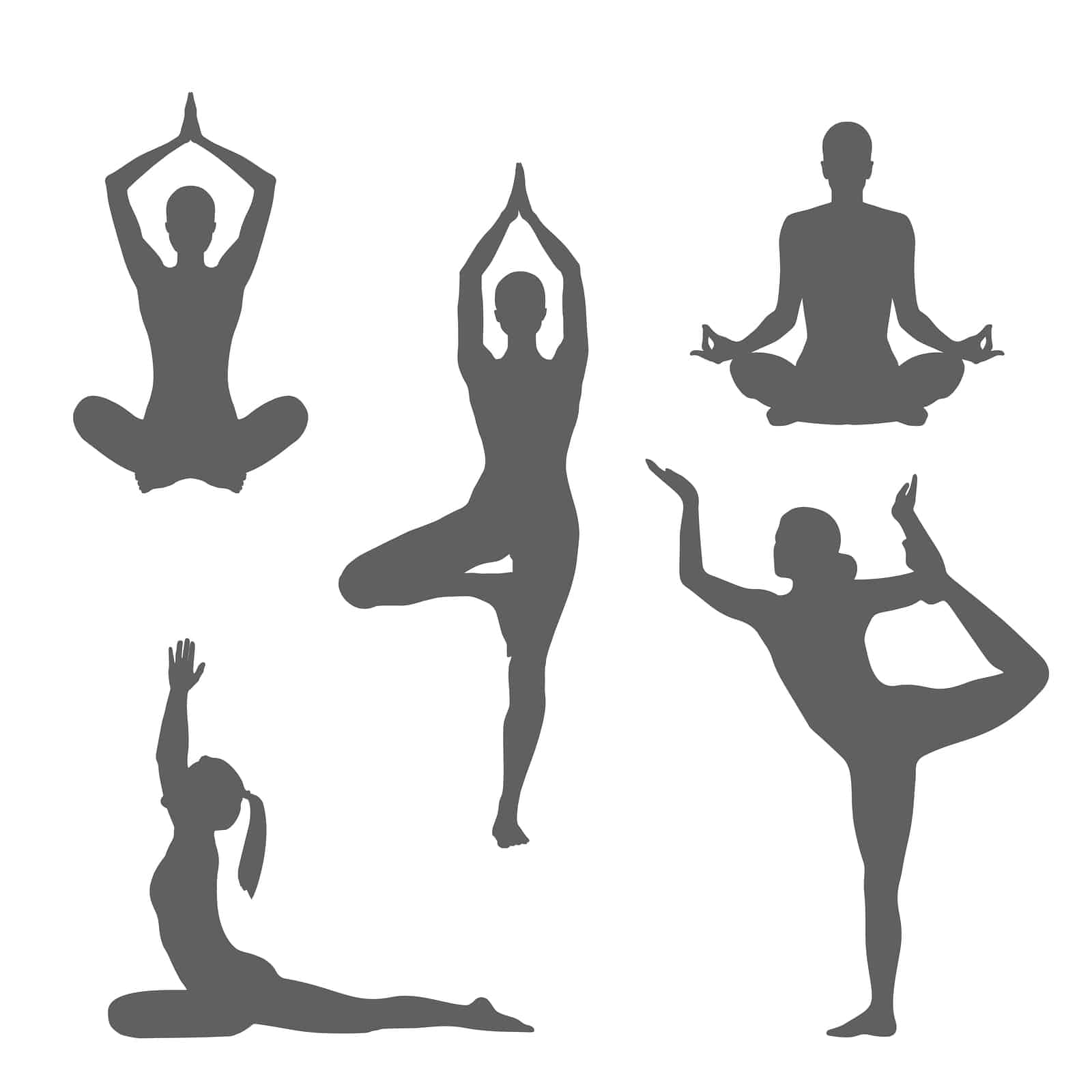 What Is the Importance of Yoga in Our Daily Life?