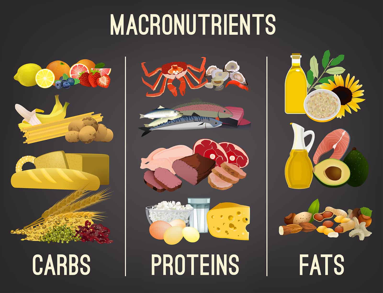 What Does Macros Mean in Your Diet?