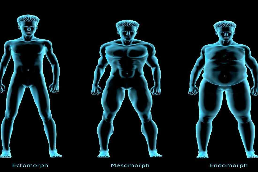 DO YOU KNOW YOUR BODY TYPE?