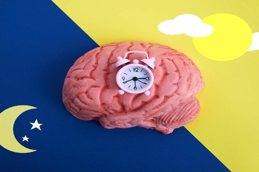 WHY OUR BODY CLOCKS ARE SO IMPORTANT