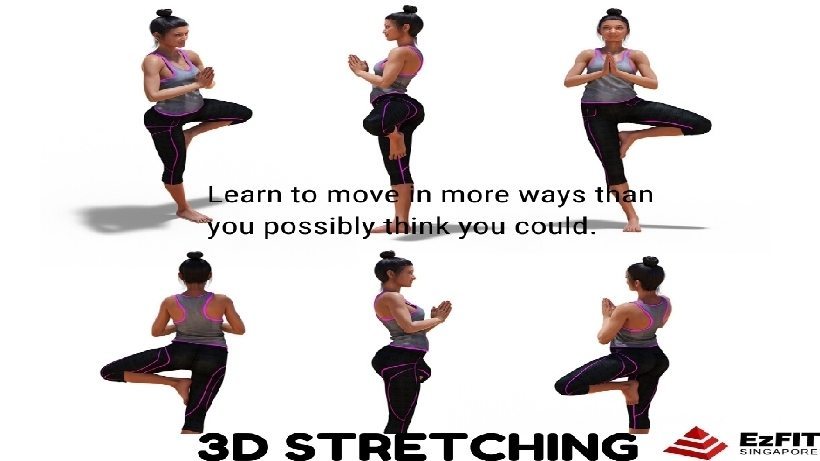 3d stretching program