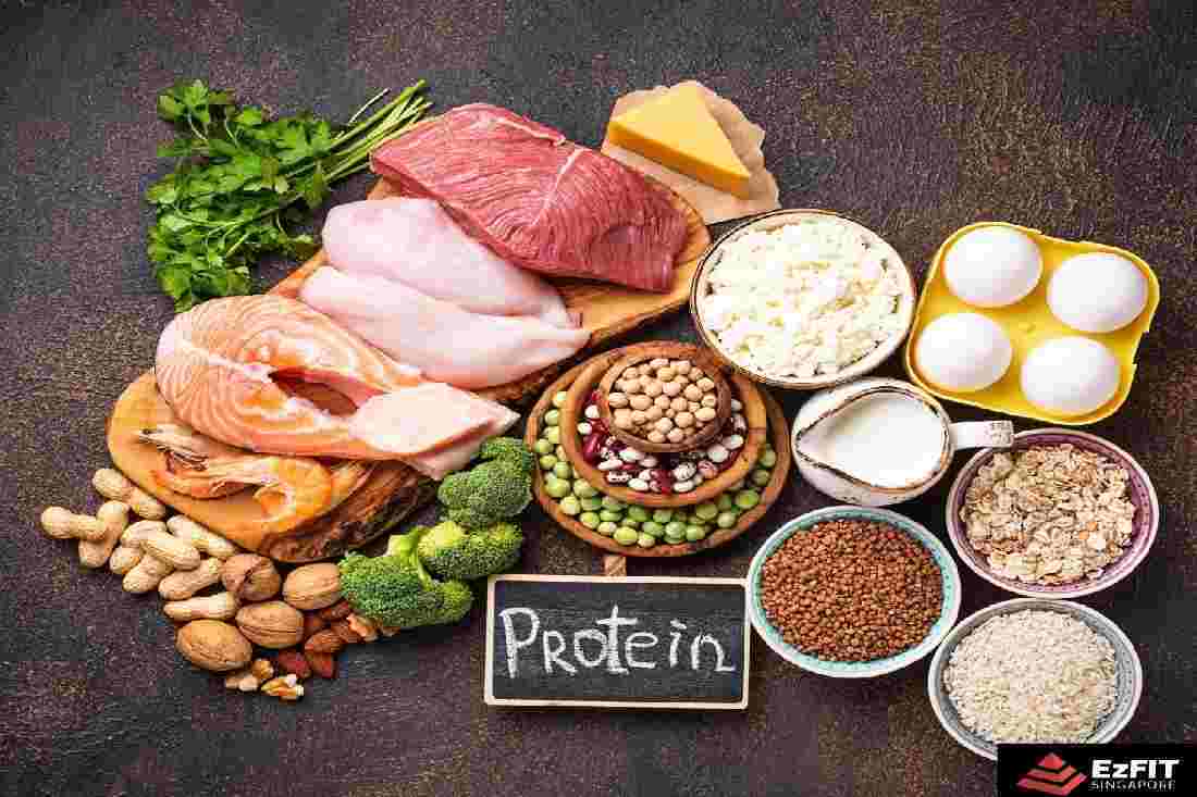 Top 20 High-Protein Foods to Fuel Your Workouts